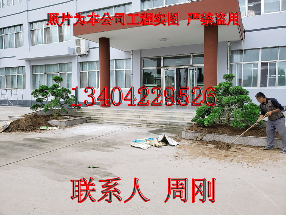 蘇州園林綠化 從私家園林到現(xiàn)代廠區(qū)的生態(tài)美學(xué)傳承